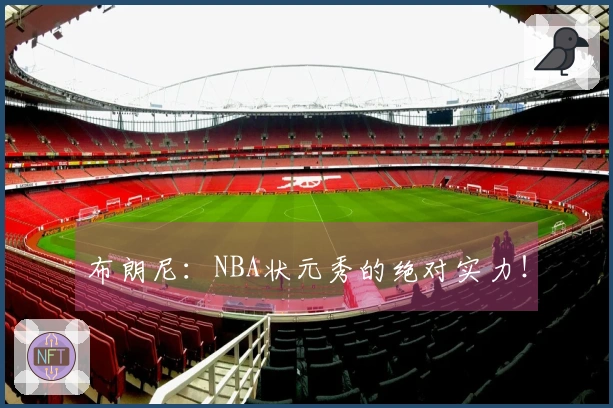 布朗尼：NBA状元秀的绝对实力！